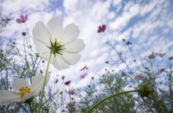 科学与技术的联系