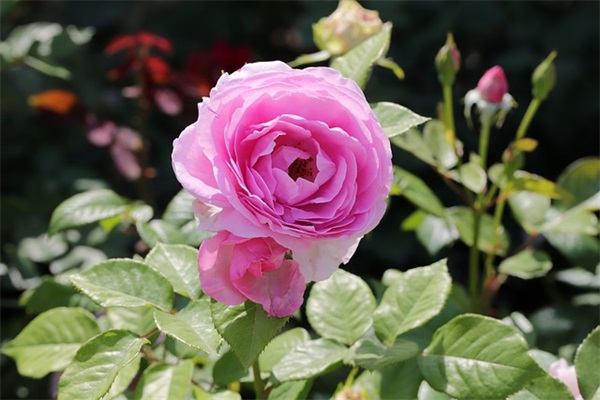 加强安全环保意识