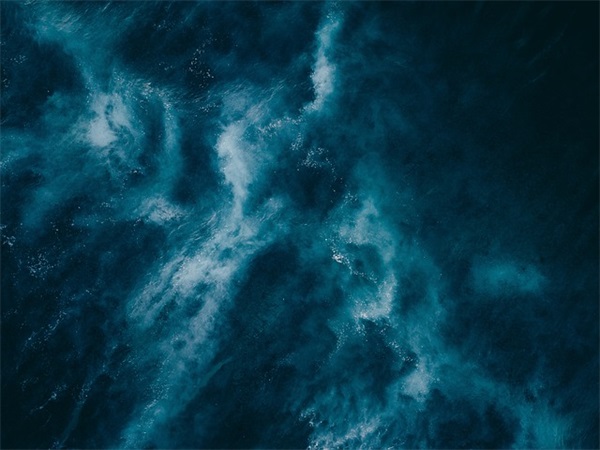 食品生产许可证申请书