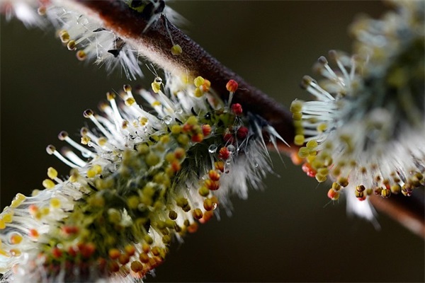 行风评议工作总结