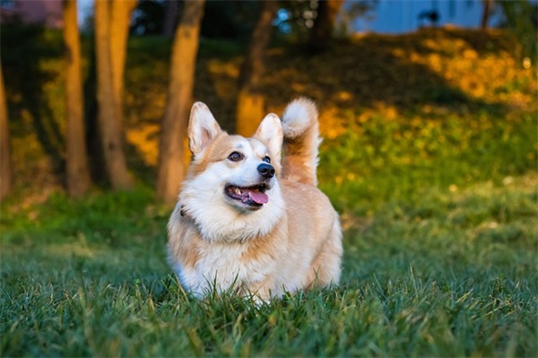 网络规划与设计
