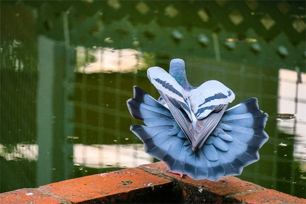 我和我的父辈们