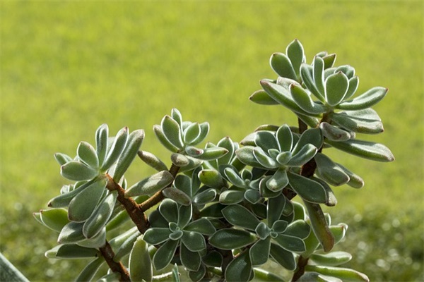 计算机维修技术