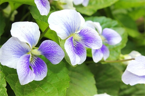 美术教学教学论文