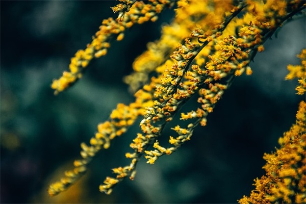 中级类职称论文