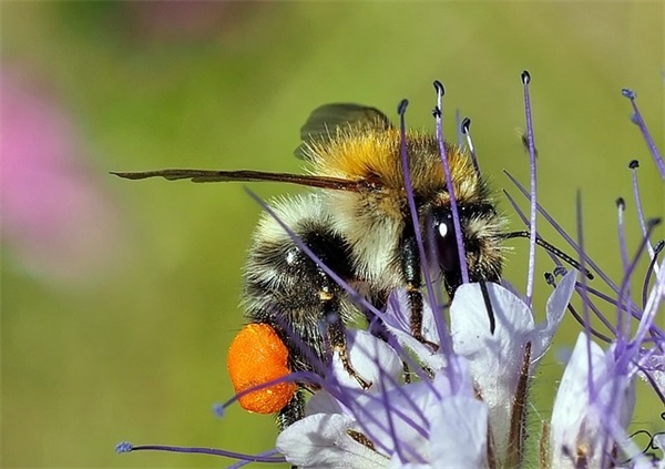 应用文写作基础知识