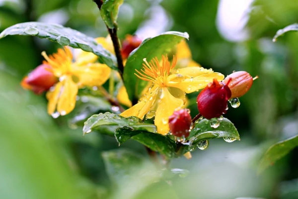 服装色彩搭配培训