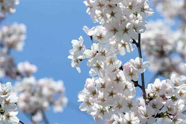 大学生德育论文