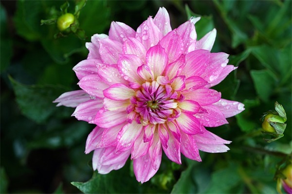 公共文明指数测评