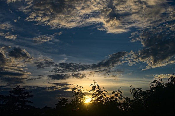 三项机制心得体会