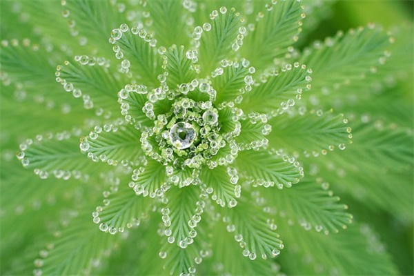 推销瓷砖宣传词 推销瓷砖怎么发朋友圈(精选40句)