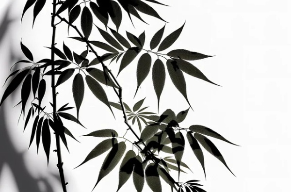 扔沙包(精选2篇)