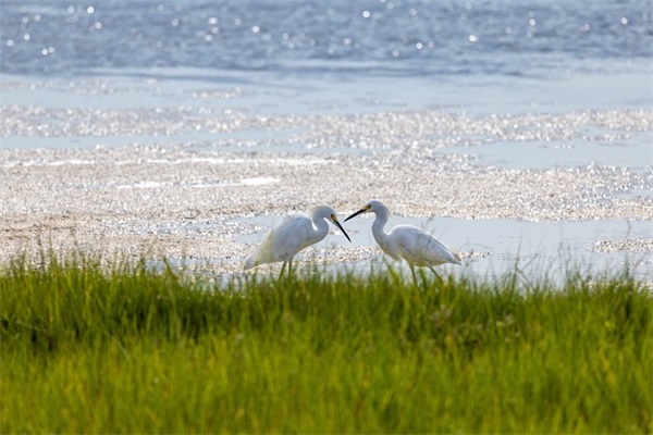 2024年重新开始的微信昵称(精选71个)