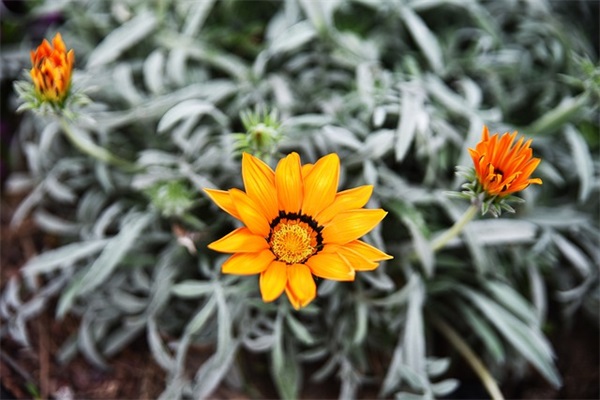 简短霸气座右铭大全 初三学生励志座右铭简短霸气
