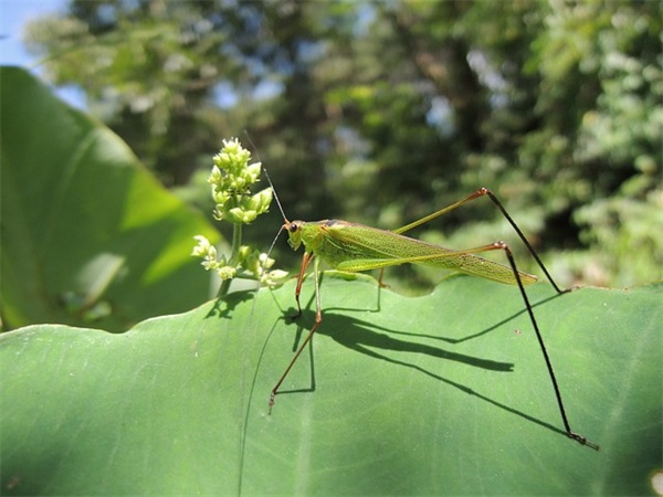 赠言寄语励志短句(精选16句)