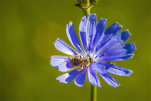 简单干净的霸气女生个性昵称(精选66个)