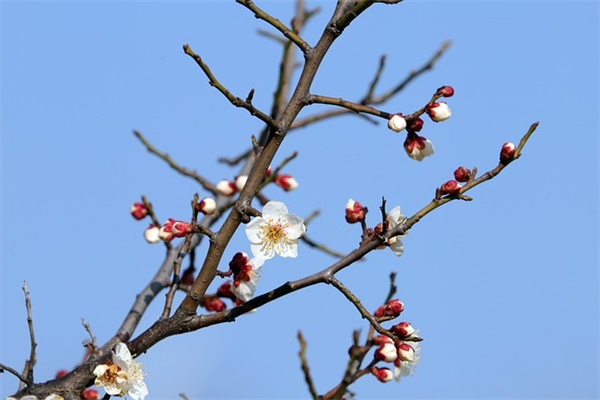 宝宝生病妈妈心情随笔 孩子生病母担忧的语句