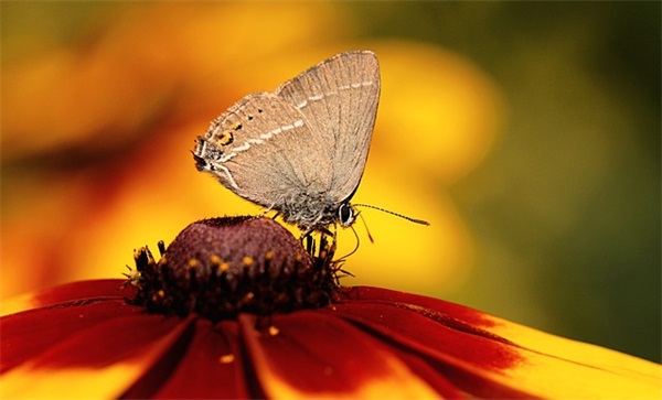 篮球赛热血口号(精选39句)