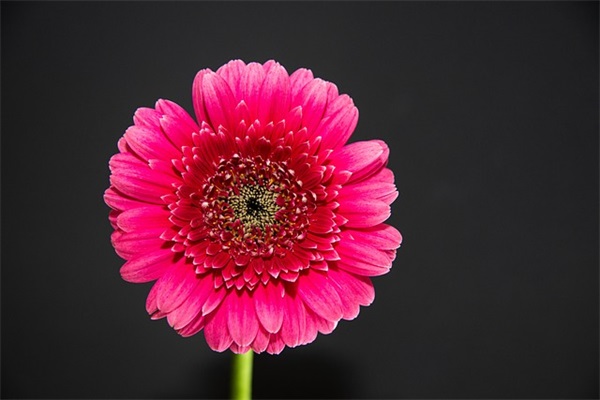 非主流伤感火星文的个性签名(精选29句)