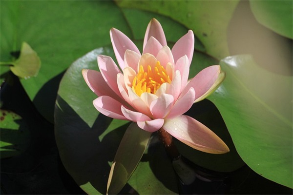 五一的宣传口号有哪些 国际禁毒日宣传口号有哪些