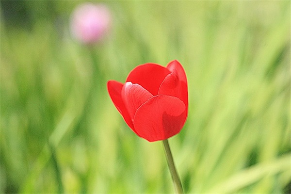 快手个人介绍个性签名大全 快手编辑个人资料语句大全