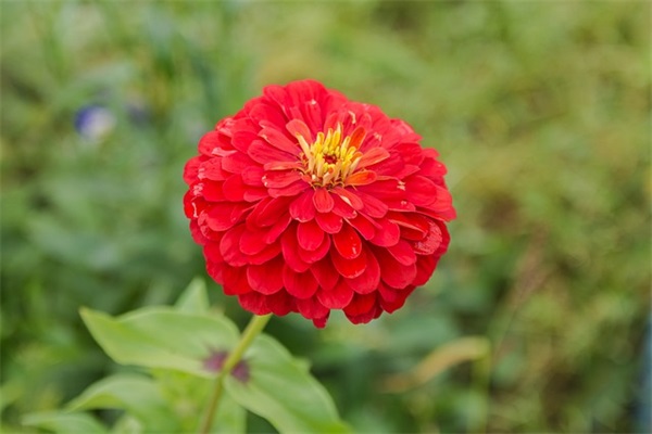 不明显情人的备注名 男朋友怎么备注(精选82句)