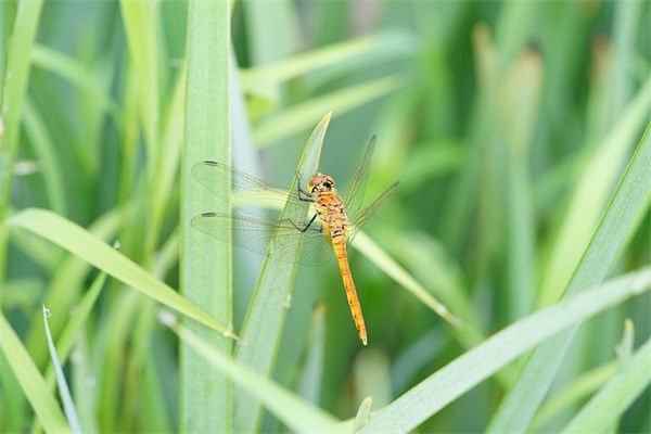 酒店收银的职责了解(精选3篇)