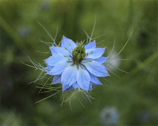 青春个性座右铭 座右铭大学生青春(精选30句)