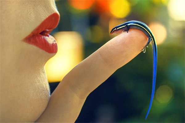 晚上散步的心情短语 晚上散步的心情短语伤感