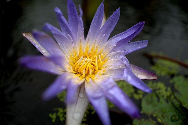 关爱的谚语二年级下册 二年级关爱他人的谚语有哪些