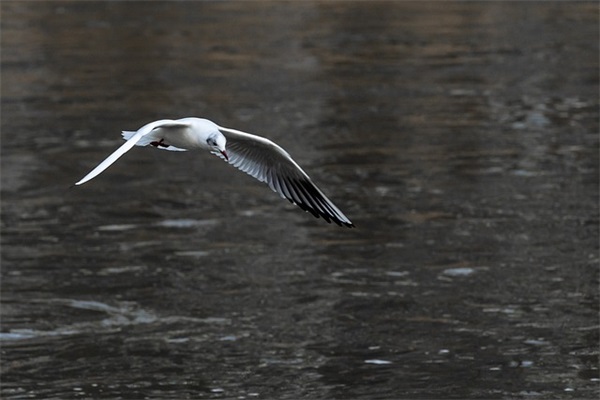 适合给媳妇的备注(精选77句)