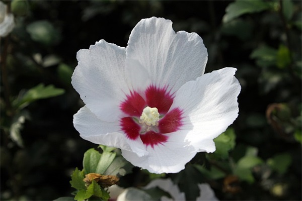 任职表态发言简短精辟 任职表态发言简短(精选16句)