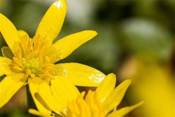 每日小情话 小情话2024(精选19句)