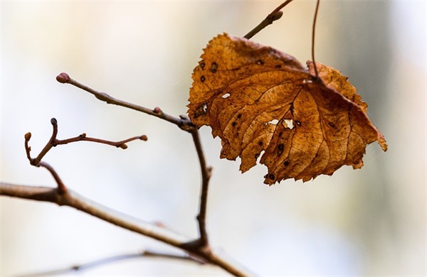 女生高冷魅力签名 女生高冷魅力签名可爱搞笑