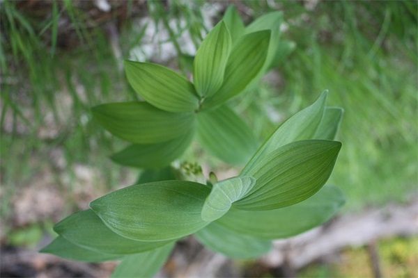 男生阳光帅气的昵称 男生阳光帅气的昵称古风(精选65个)