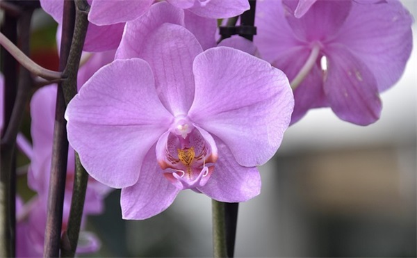 学生励志的座右铭 座右铭大全 励志学生(精选26句)