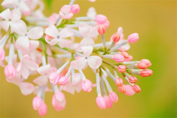 给情人的备注昵称大全 情人昵称备注霸气(精选76个)