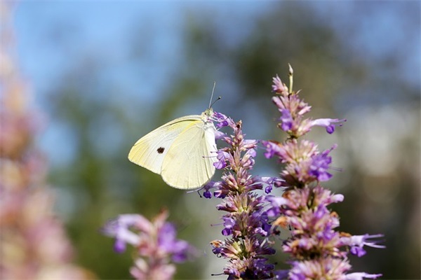 礼貌退出工作群的告别语 离职退群的感谢话语