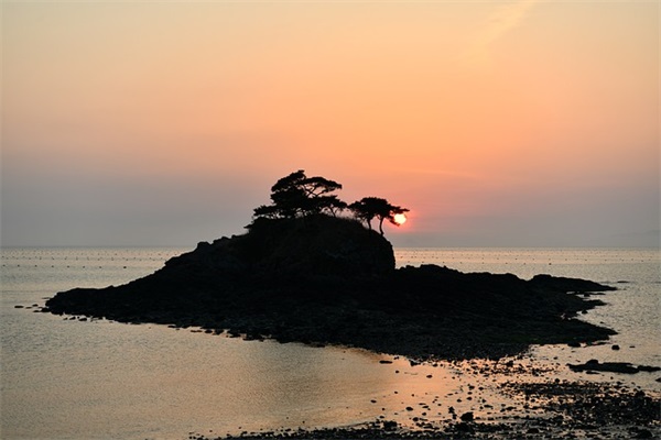 100字摘抄 100字摘抄(精选14句)