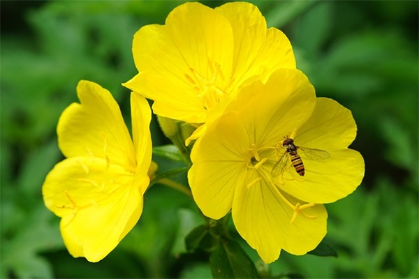 适用于销售的座右铭 房产销售座右铭(精选28句)