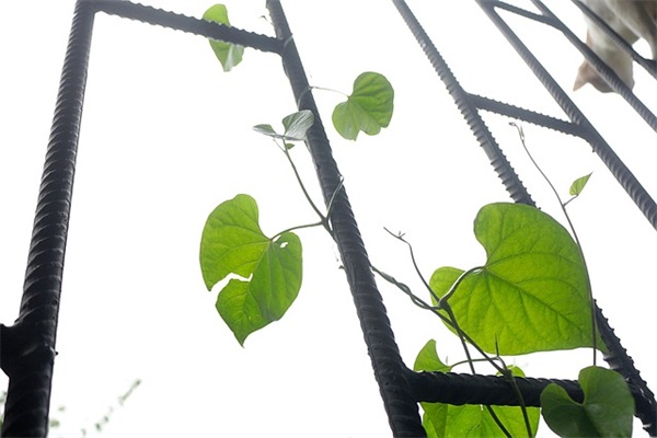 我发誓对所爱至死不渝 微信签名一句话至自己现实一点的