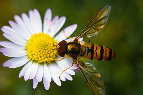 客户维护短信温馨短信早上问候语(精选10句)