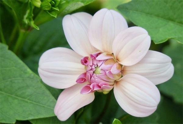 一件有趣的事(精选2篇)