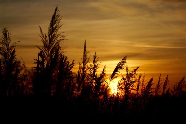 创意队名和口号大全(精选26句)