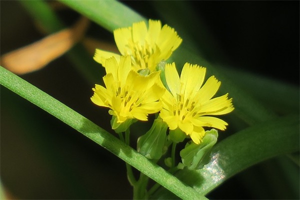 医院广告词推荐(精选30句)
