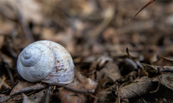 给老婆的备注昵称甜蜜的(精选73个)