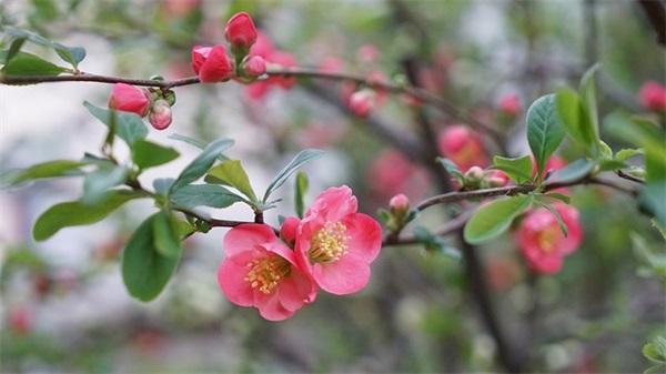 做个混蛋充满野性且迷人 抖音个性签名男生霸气超有范