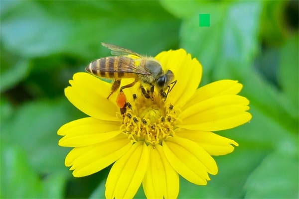 爱岗敬业工作座右铭 党员座右铭 爱岗敬业