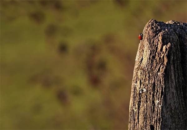 工程项目主管具体岗位要求职责(精选3篇)