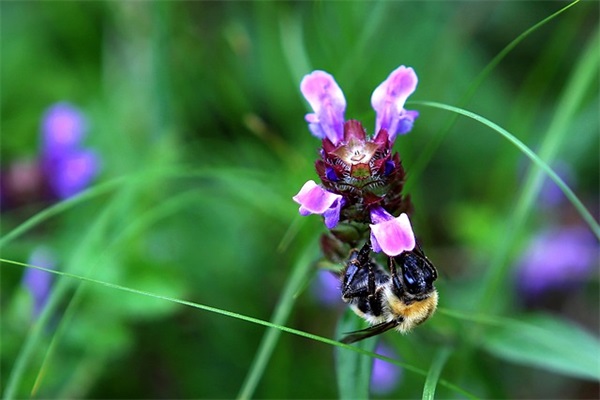 关于半夜睡不着的心情图片 睡不着发朋友圈配图